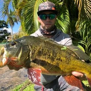 Meet your Posher, Spencer